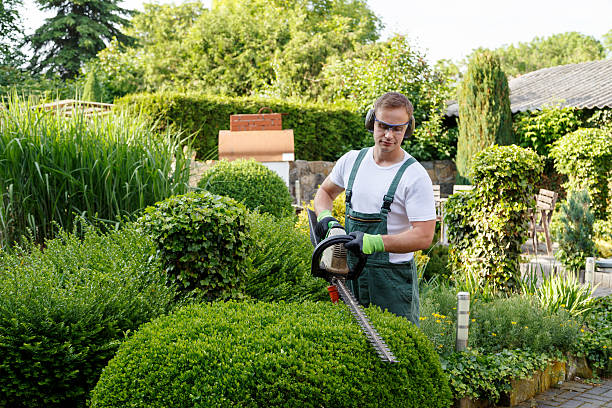 Best Lawn Drainage Solutions  in Kalida, OH